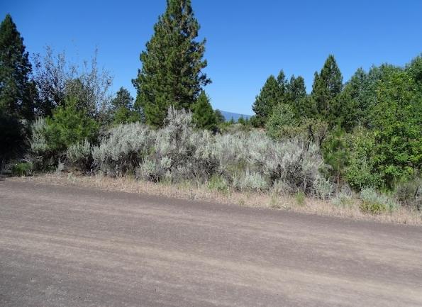  0.22 Acres for Sale in Chiloquin, Oregon