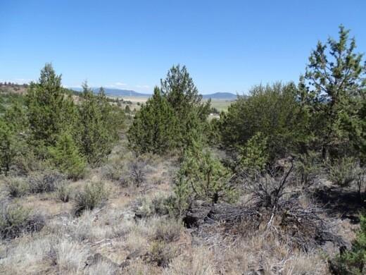  1.46 Acres for Sale in Chiloquin, Oregon