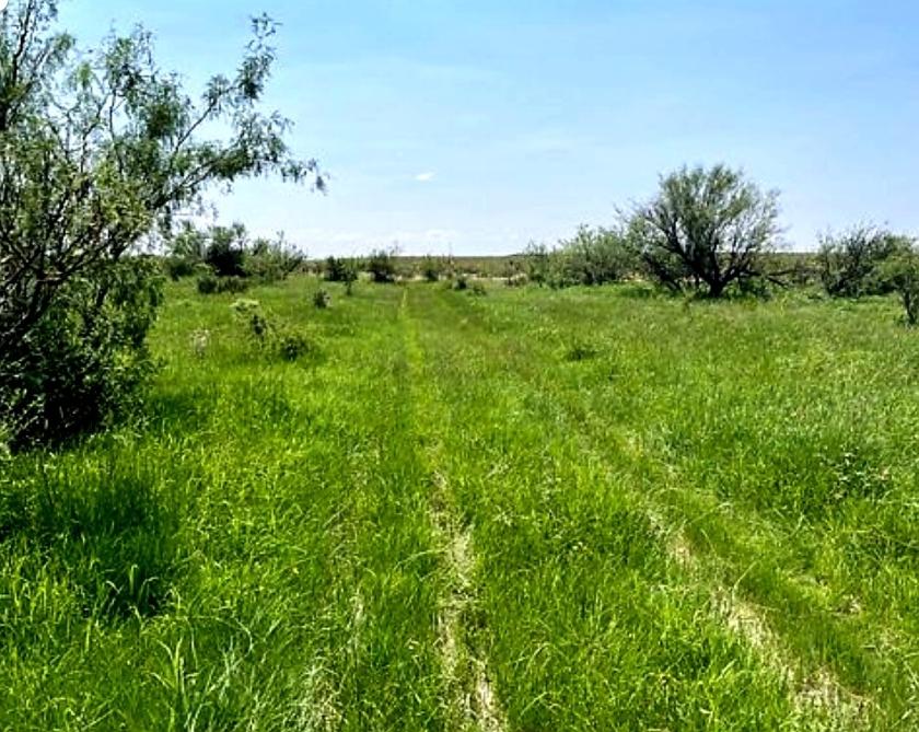  10 Acres for Sale in Dell, Texas