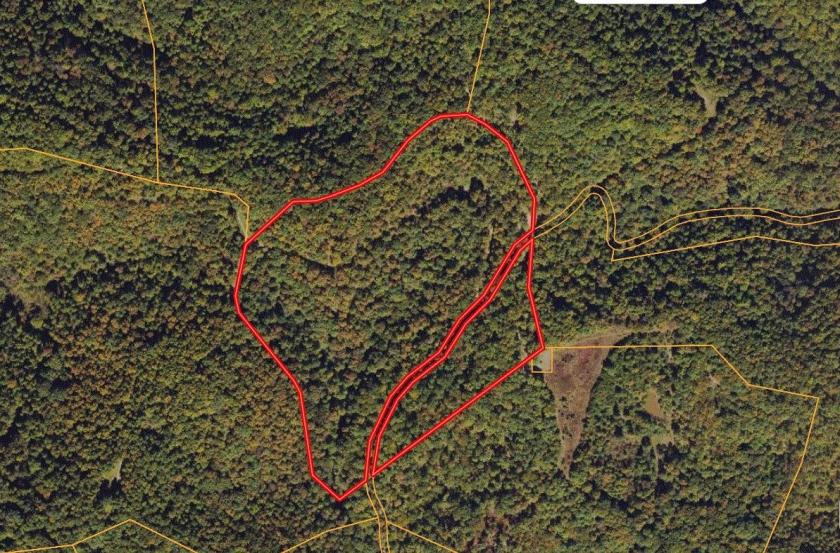  30 Acres for Sale in Alkol, West Virginia