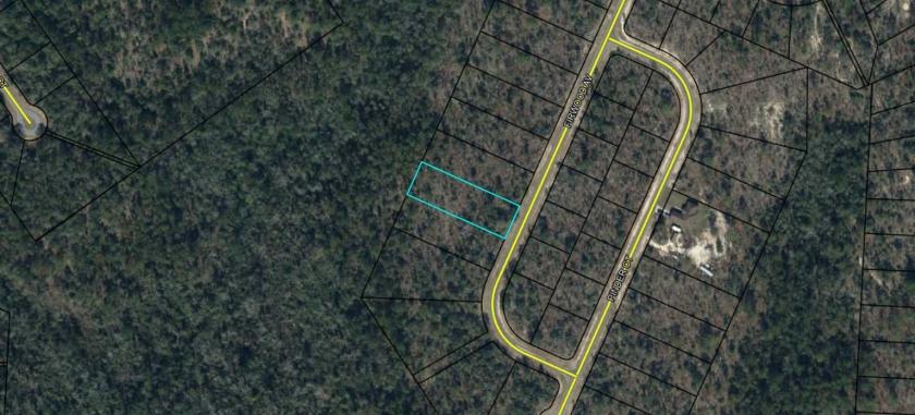  0.69 Acres for Sale in Sunny Hills, Florida