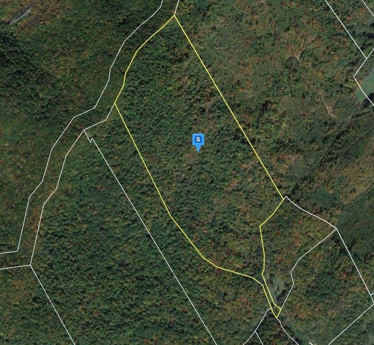  89.00 Acres for Sale in Speedwell, Tennessee