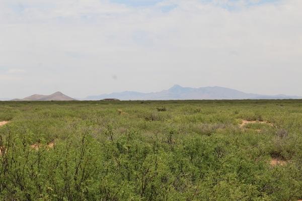  4.62 Acres for Sale in Gage, New Mexico