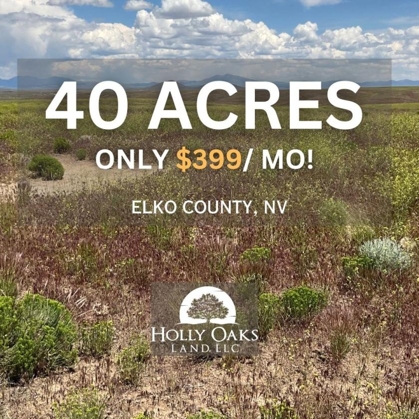  40 Acres for Sale in Elko, Nevada