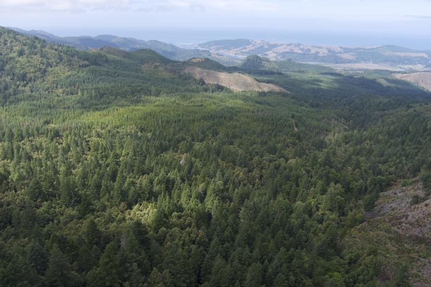  40 Acres for Sale in Gold Beach, Oregon