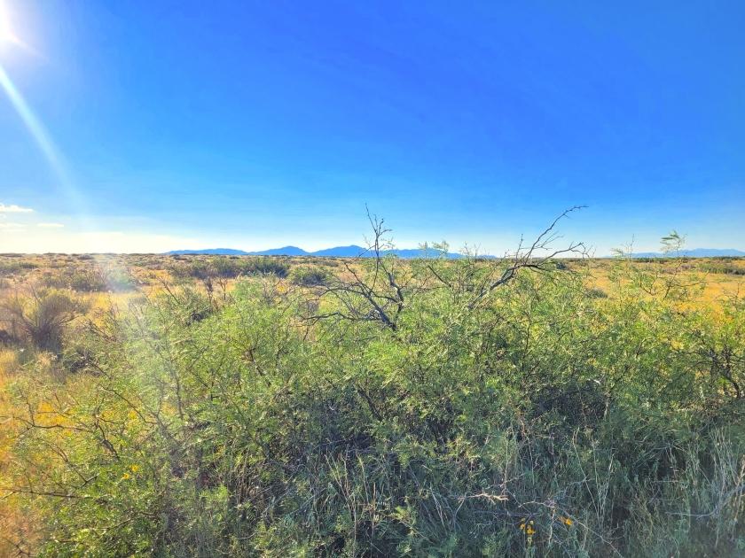  0.22 Acres for Sale in Butterfield, Texas