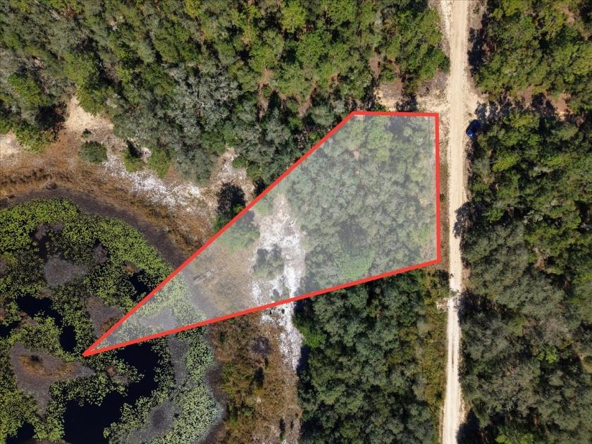 0.62 Acres for Sale in Interlachen, Florida