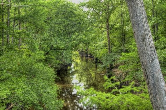 Ultimate Guide to Finding Your Next Piece of Hunting Land