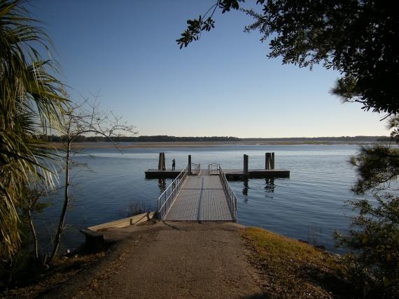 Your Guide to Finding South Carolina Land for Sale
