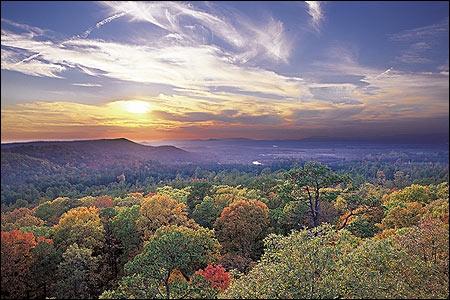 How to Buy Acreage or Vacant Land in Arkansas