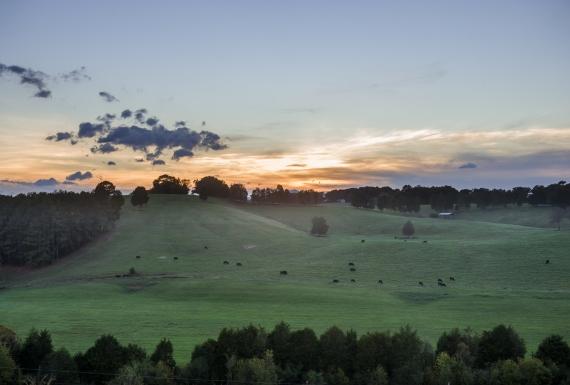 Land Sales On The Rise In Tennessee