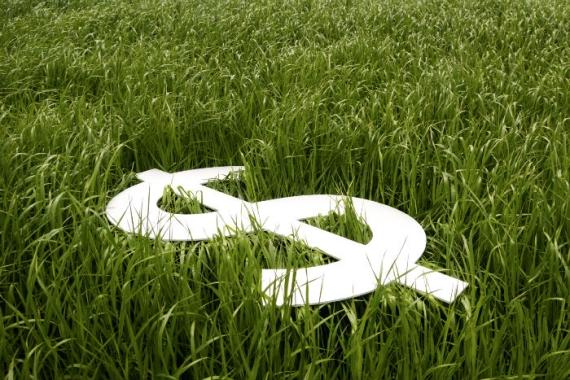 Is Land in The United States Going to Increase Its Value?