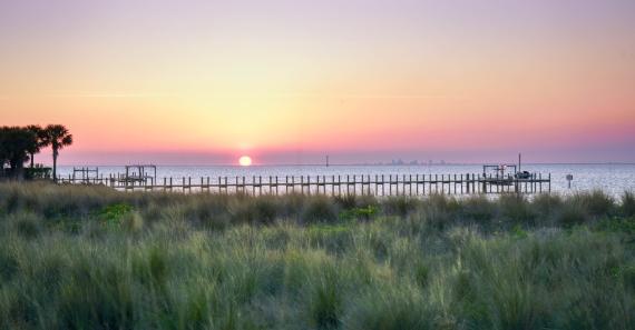 Where to Find Affordable Acreage in North Florida