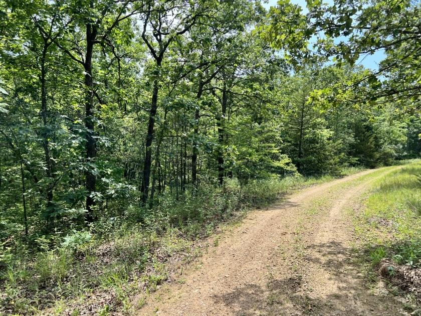  0.15 Acres for Sale in Lincoln, Missouri