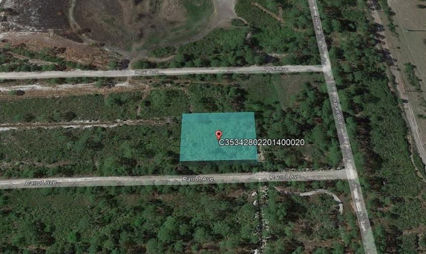 0.46 Acres for Sale in Sebring, FL