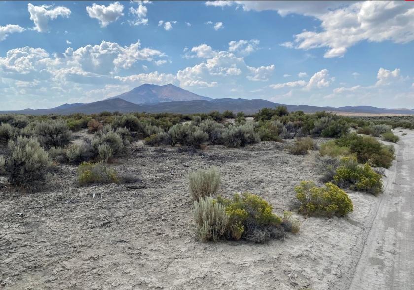  40.35 Acres for Sale in Pronto, Nevada
