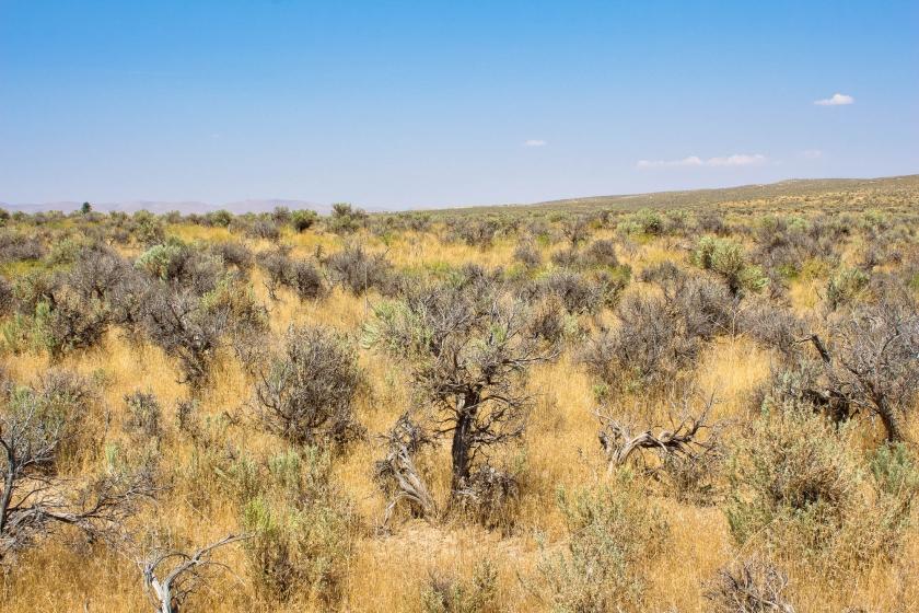  1.03 Acres for Sale in Ryndon, Nevada
