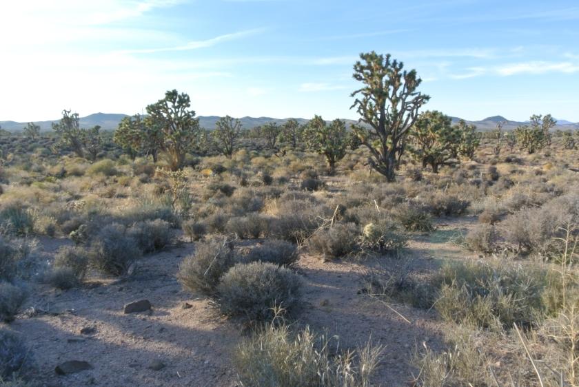 1.1 Acres for Sale in Meadview, Arizona