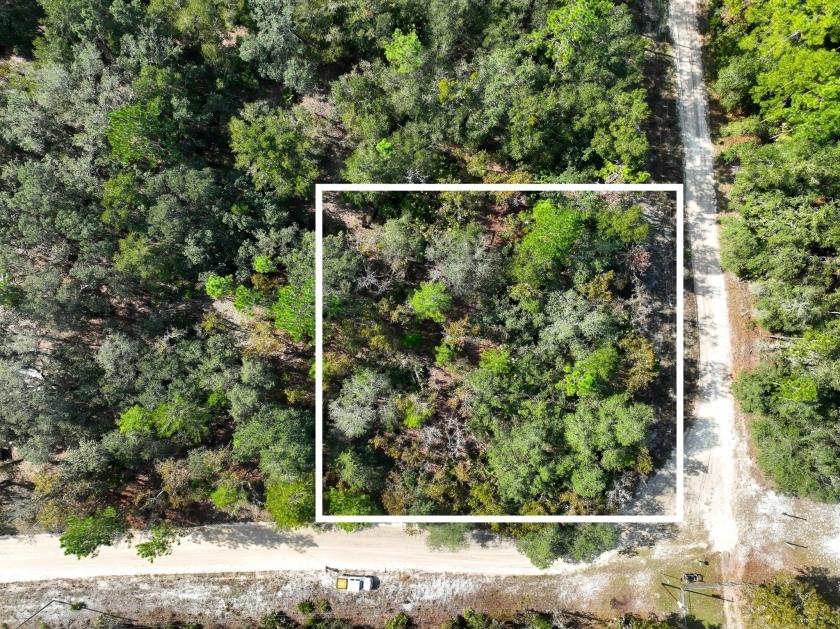 0.25 Acres for Sale in Florahome, Florida