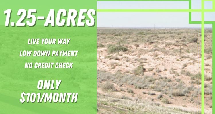 1.25 Acres for Sale in Sun Valley, Arizona