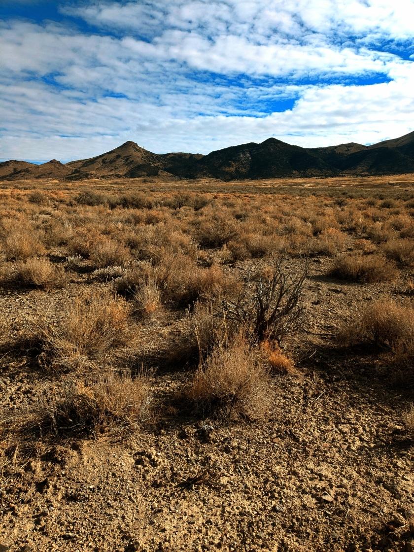 10.2 Acres for Sale in Montello, Nevada