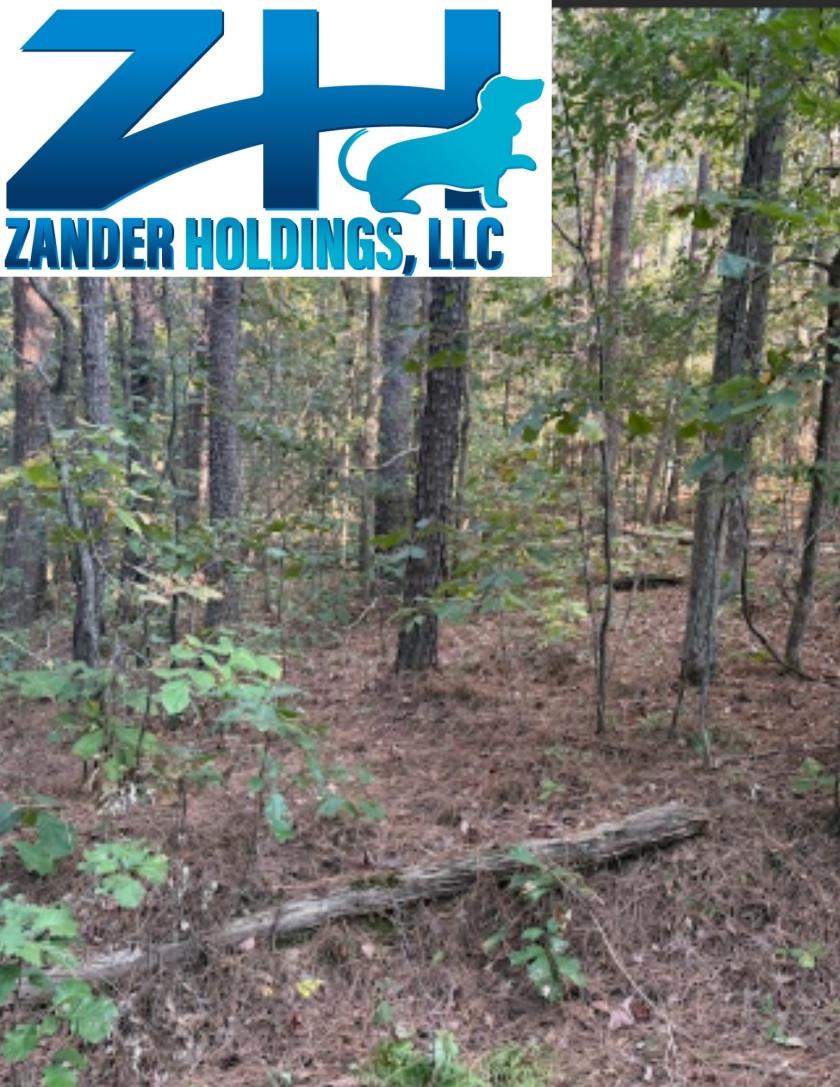 0.44 Acres for Sale in Willford, Arkansas