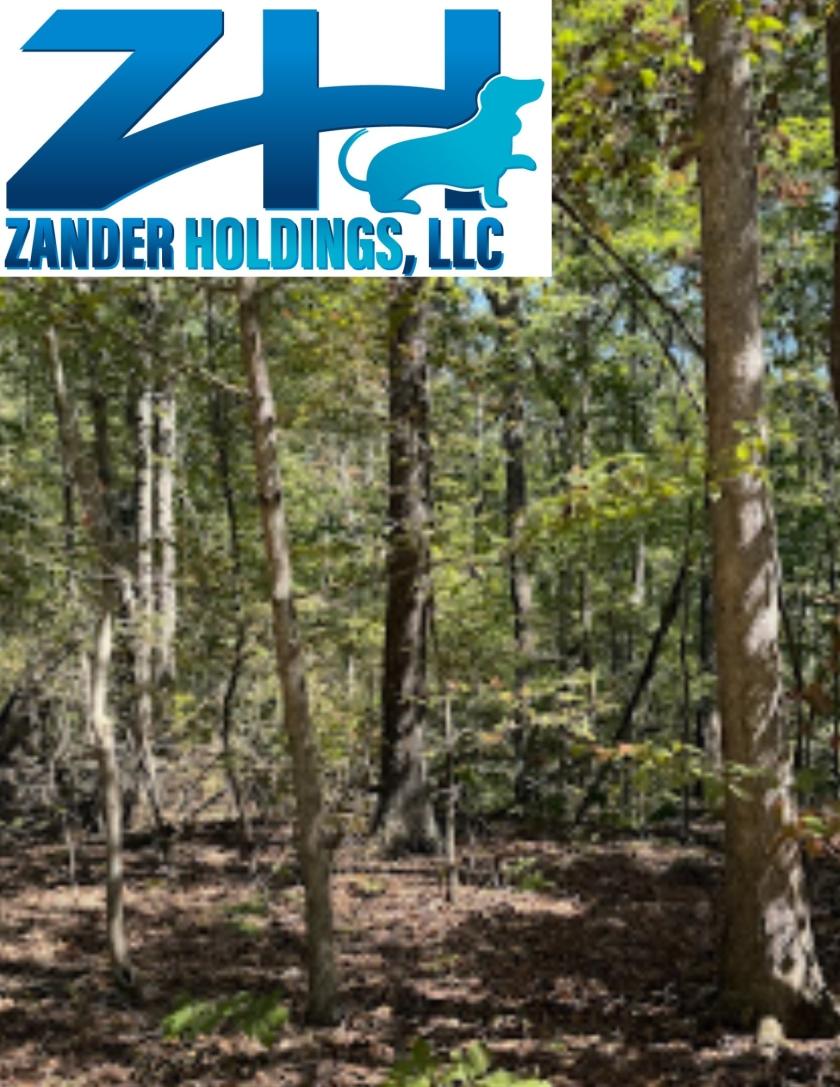 1 Acres for Sale in New Concord, Kentucky