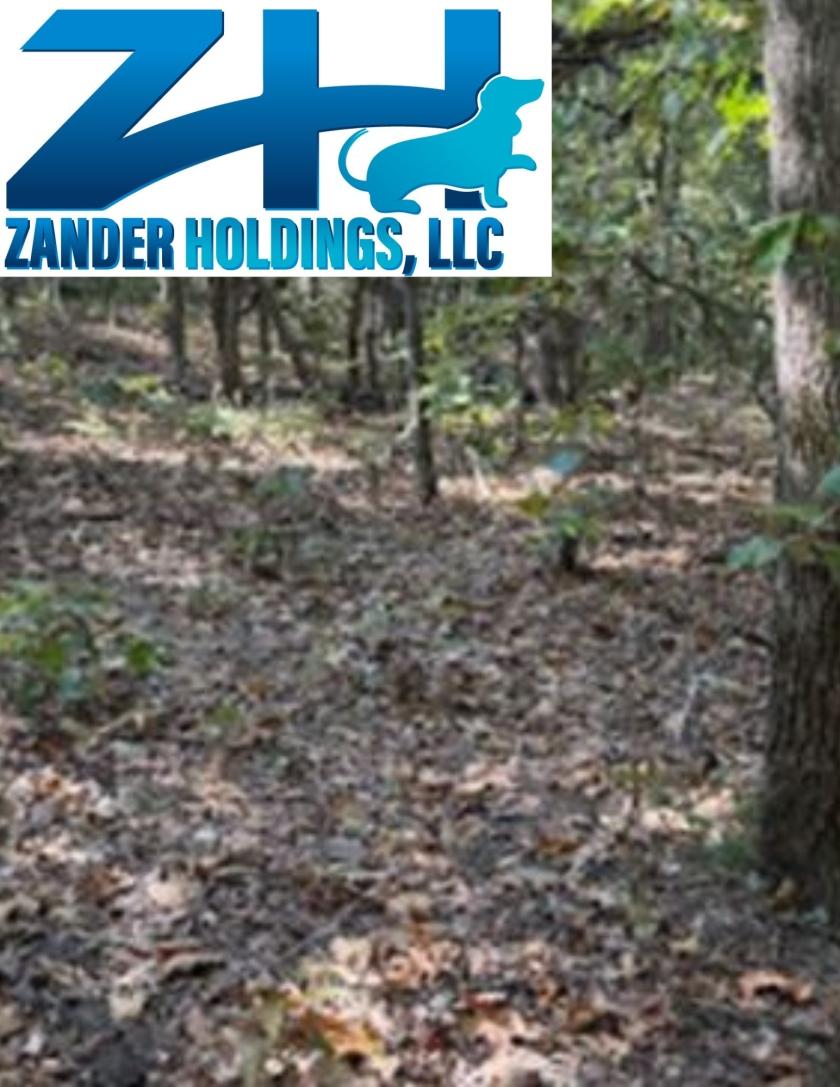 0.14 Acres for Sale in Ozark Acres, Arkansas