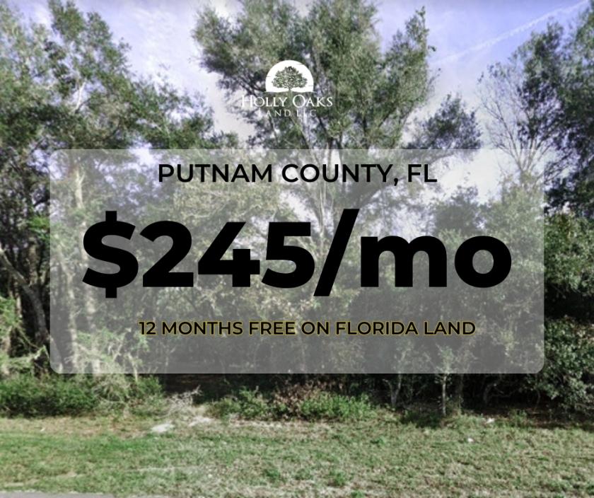 0.46 Acres for Sale in Satsuma, Florida