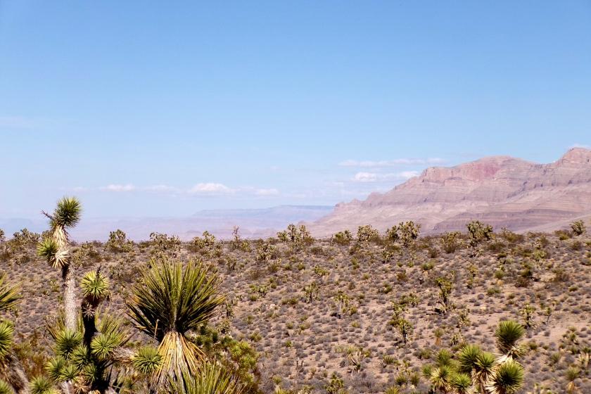 1.25 Acres for Sale in Meadview, Arizona