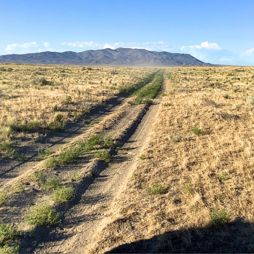 40.62 Acres for Sale in Winnemucca, Nevada