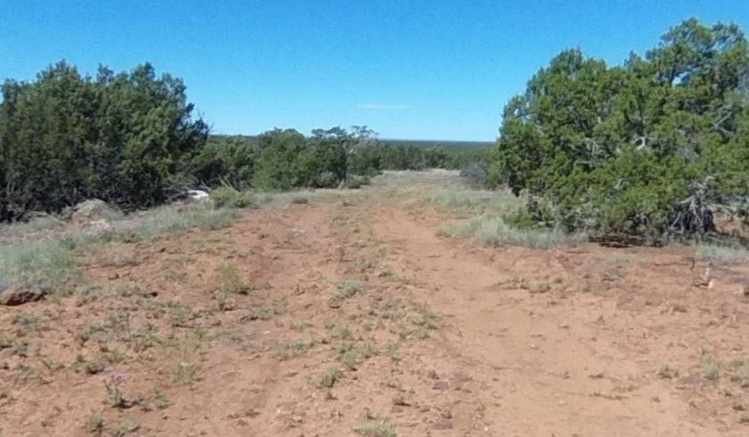 1.16 Acres for Sale in Concho, Arizona