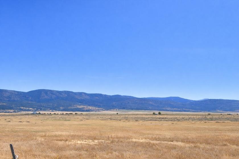 Off-Market Wholesale Land Deal. 10 Acres in California. Priced 50%+ below Assessed Value!