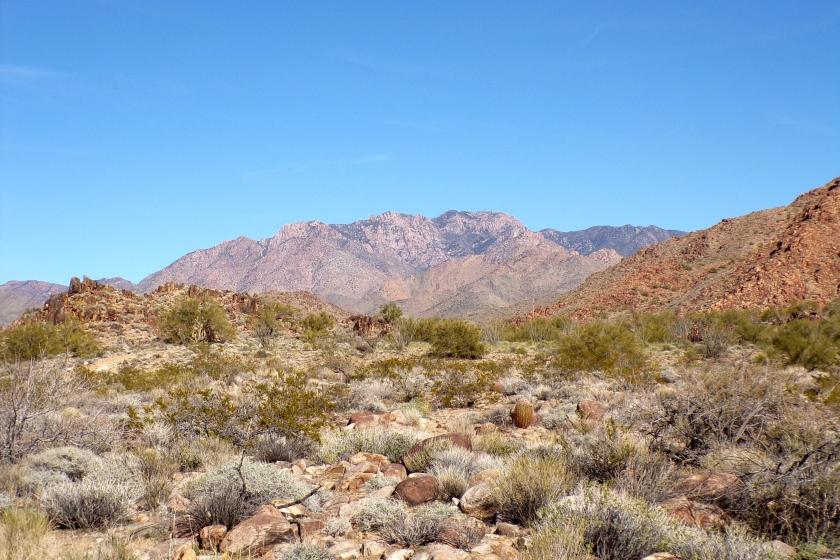 8.43 Acres for Sale in Yucca, Arizona