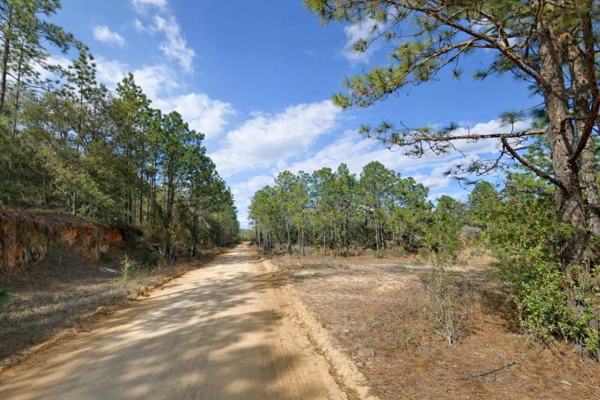 Off-Market Land Deal. Residential Lot in Florida. Cheapest Price in Area.