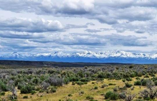 40 Acres for Sale in Elko ($339.00 A MONTH OWNER FINANCING AND NO CREDIT CHECK!), Nevada