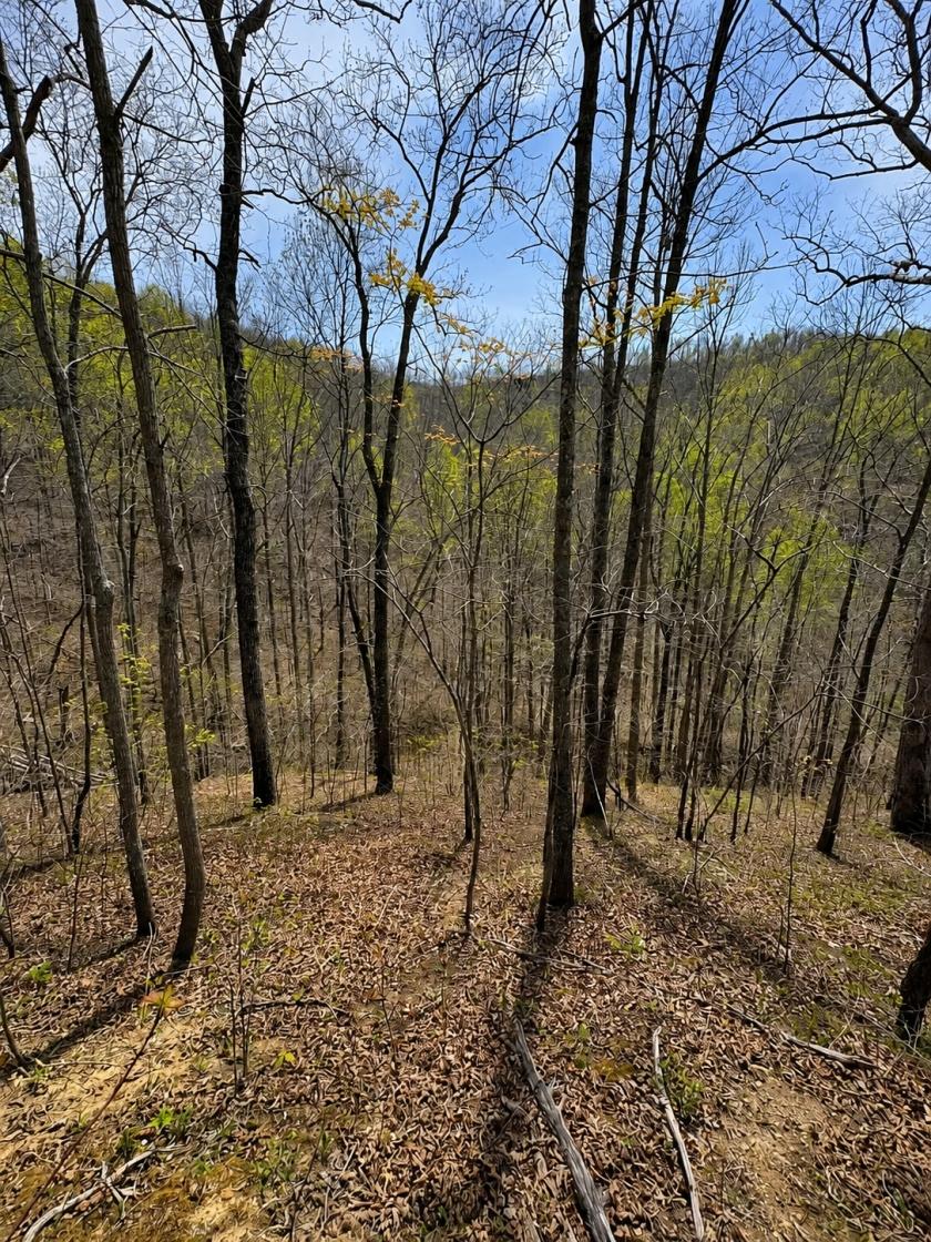Land Sellers & Investors Alert! 13 Acres in Kentucky for Just $24K