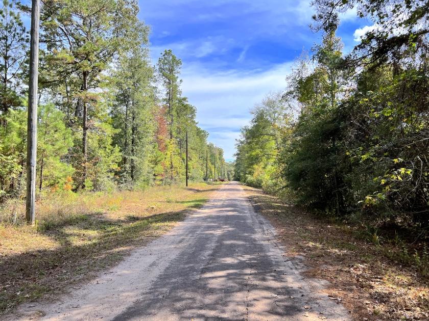 0.20 Acres for Sale in Woodville, Texas