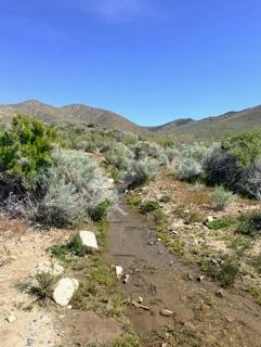 210 Acres for Sale in Buffalo Mountain (Owner Financing $1,695.00 a month), Nevada