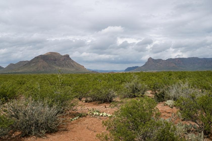 10 Acres for Sale in Mile High, Texas