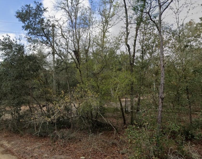 0.2 Acres for Sale in Interlachen, Florida