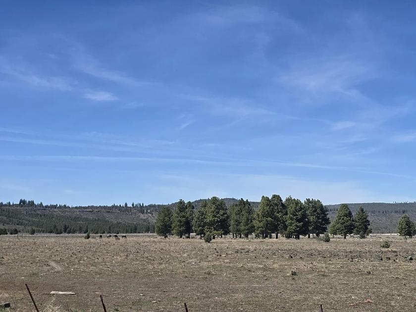 120 Acres for Sale in Sprague River, Oregon