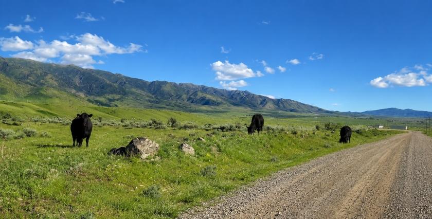 1.69 Acres for Sale in Humboldt River Ranch (Owner Financing $257.00 a month) No Credit Check, Nevada