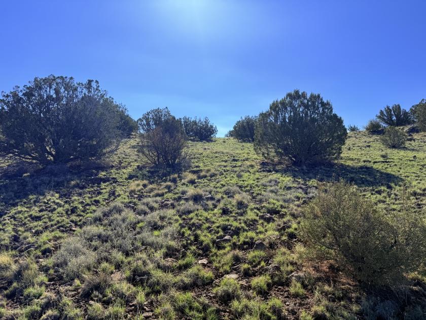 3.12 Acres for Sale in Concho, Arizona