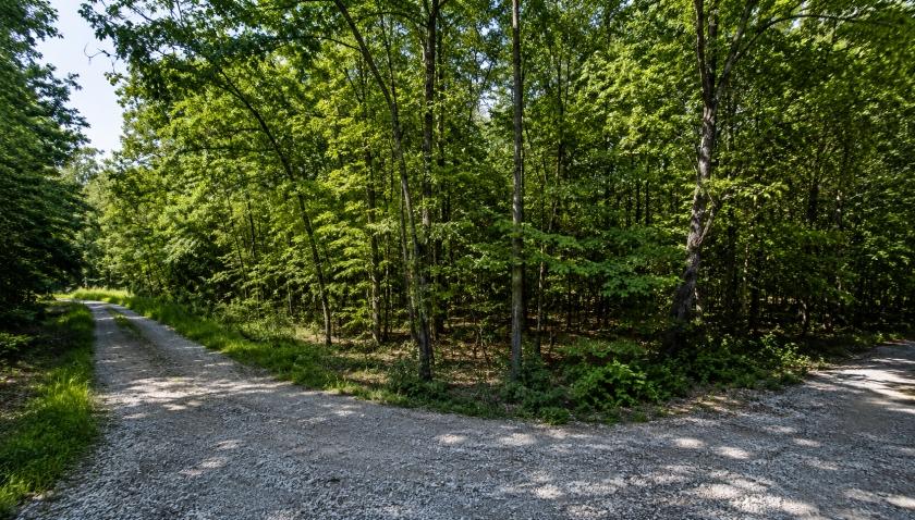 1.00 Acres for Sale in Cherokee Village, Arkansas