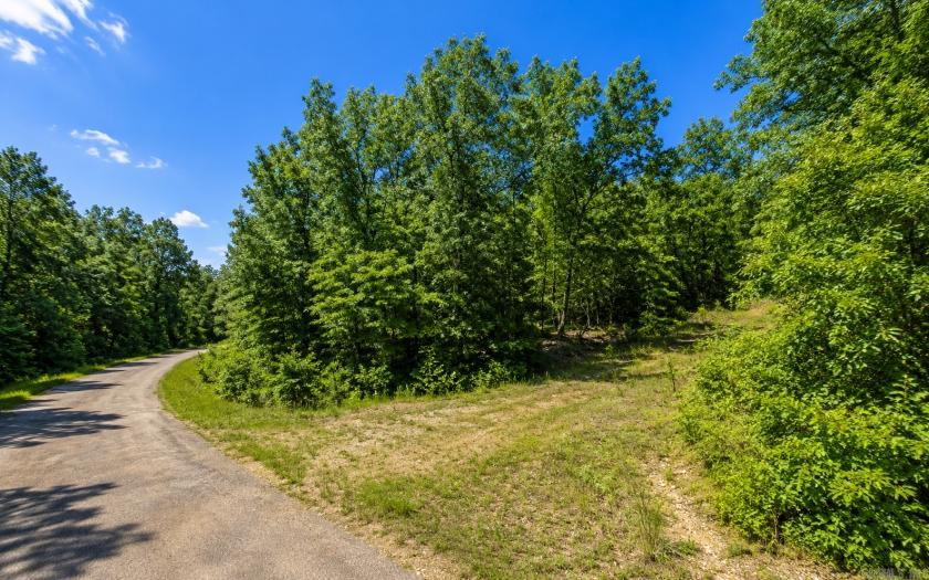 0.3 Acres for Sale in Lake Chanute, Arkansas