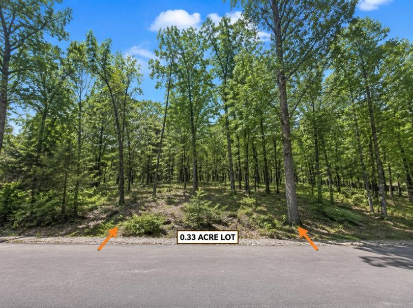 0.33 Acres for Sale in Greer Lake, Arkansas