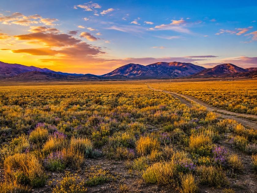 10 Acres for Sale in Montello, Nevada