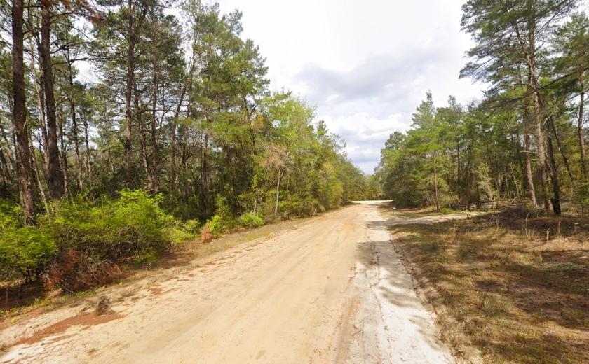 0.21-Acre Residential Land for Sale in Florahome, FL - $195/mo Owner Financing