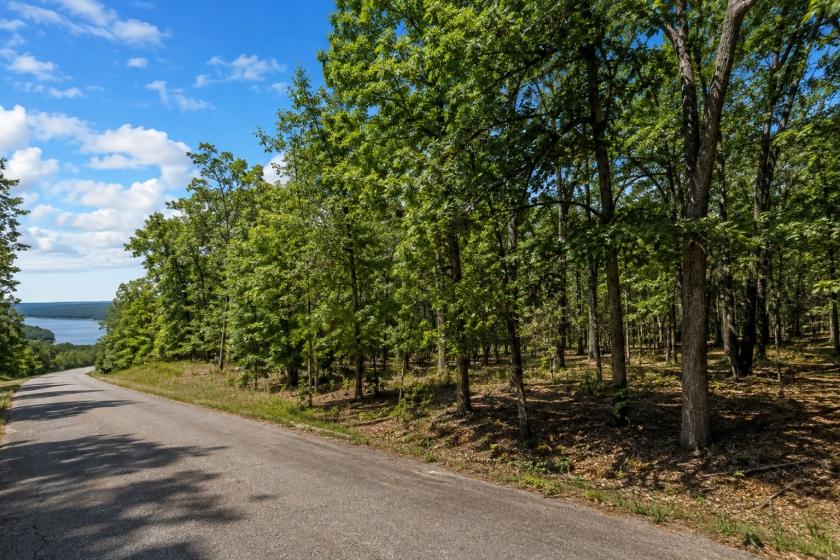 0.44-Acre Residential Land for Sale in Greers Lake, AR - $828 | City Utilities